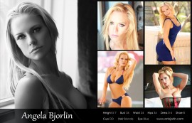 Model Comp Card